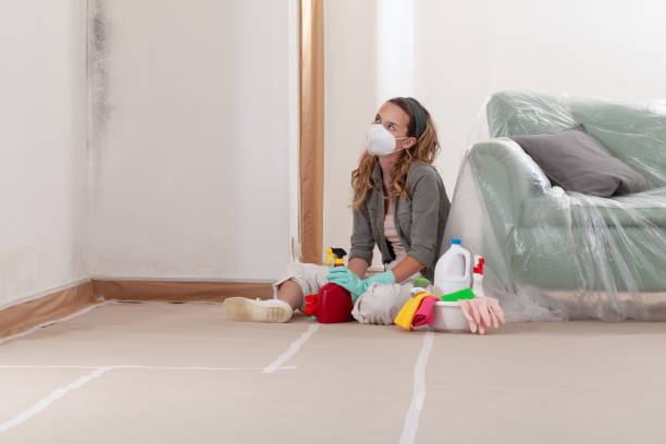 Reliable Mold Remediation contractor in Stony Creek, VA by 24 Hour Mold Removal